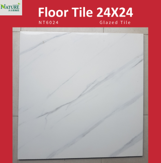 24 X 24 Glazed Floor Tile Nature